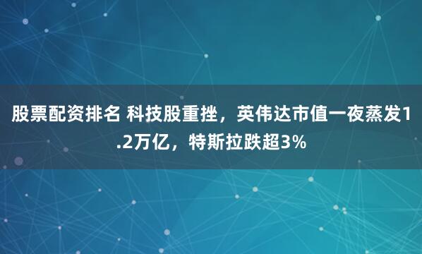股票配资排名 科技股重挫，英伟达市值一夜蒸发1.2万亿，特斯拉跌超3%